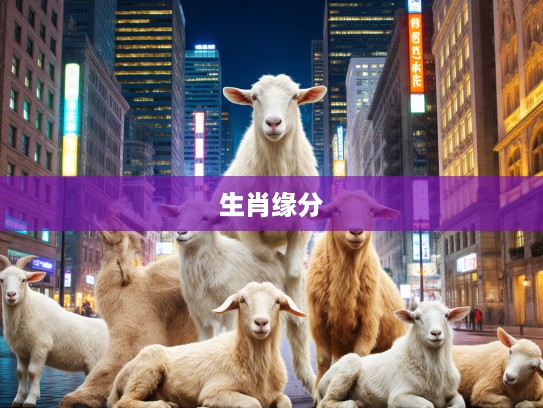 生肖情深,流离遇合中的生肖生肖,探寻生肖缘分的奇妙之旅 生肖情深,流离遇合中的生肖生肖,探寻生肖缘分的奇妙之旅