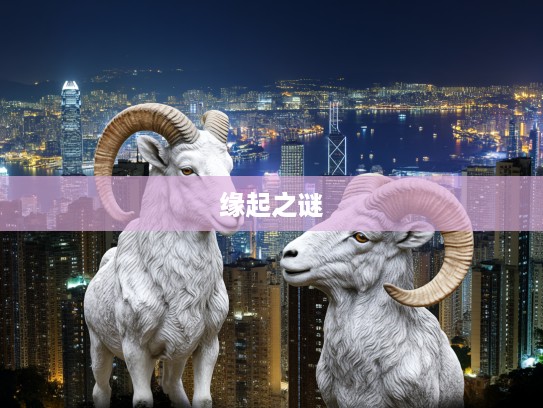 缘起生肖,探寻流离遇合的生肖情缘之谜 缘起生肖,探寻流离遇合的生肖情缘之谜