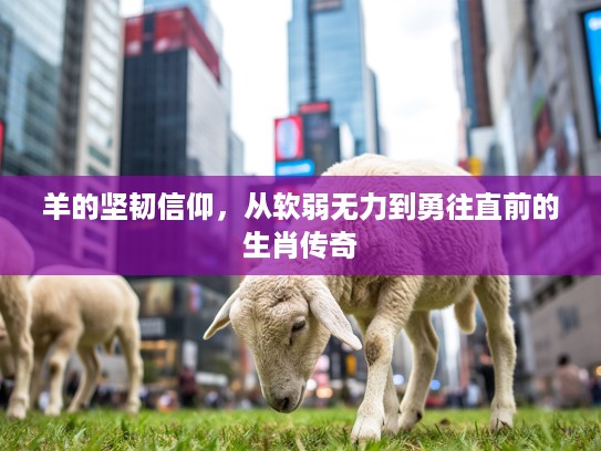 羊的坚韧信仰，从软弱无力到勇往直前的生肖传奇