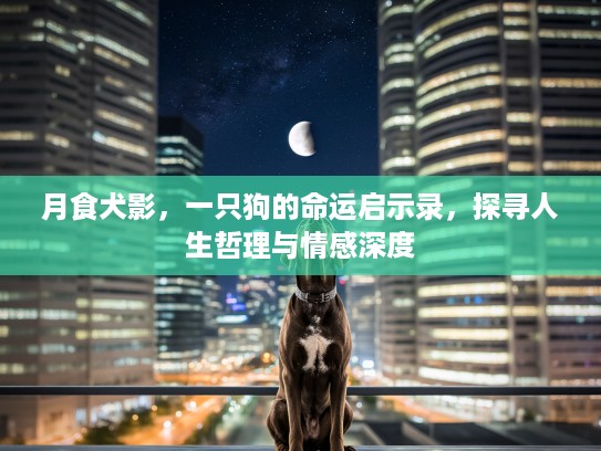 月食犬影,一只狗的命运启示录,探寻人生哲理与情感深度 月食犬影,一只狗的命运启示录,探寻人生哲理与情感深度
