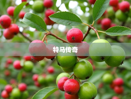 绿树红果硕果累累,三门兴旺特马显神威,生肖特马辉煌传奇的绿果征程 绿树红果硕果累累,三门兴旺特马显神威,生肖特马辉煌传奇的绿果征程