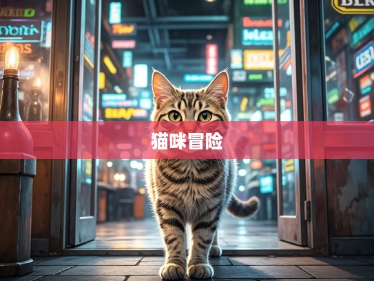 乱人心智猫奇旅,一只猫咪的耳目之战冒险奇缘 乱人心智猫奇旅,一只猫咪的耳目之战冒险奇缘