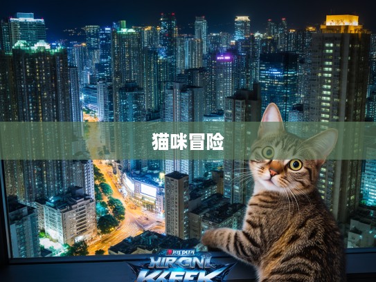 乱人心智猫奇旅,一只猫咪的耳目之战冒险奇缘 乱人心智猫奇旅,一只猫咪的耳目之战冒险奇缘