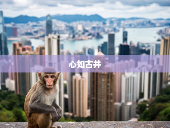 心如古井生肖猴，岁月无声中的静谧人生解读