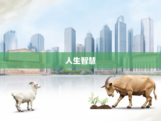 早作打算,未雨绸缪,从打一生肖故事中学到的人生智慧与应对策略 早作打算,未雨绸缪,从打一生肖故事中学到的人生智慧与应对策略