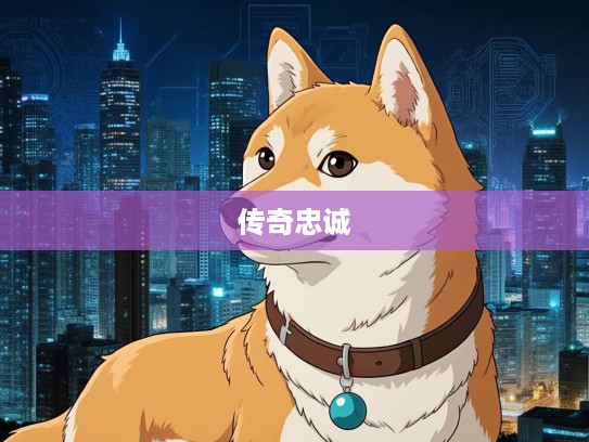忠心守护生肖传奇，揭秘一只生肖狗的传奇忠诚故事