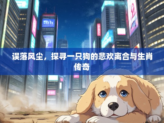 误落风尘,探寻一只狗的悲欢离合与生肖传奇 误落风尘,探寻一只狗的悲欢离合与生肖传奇