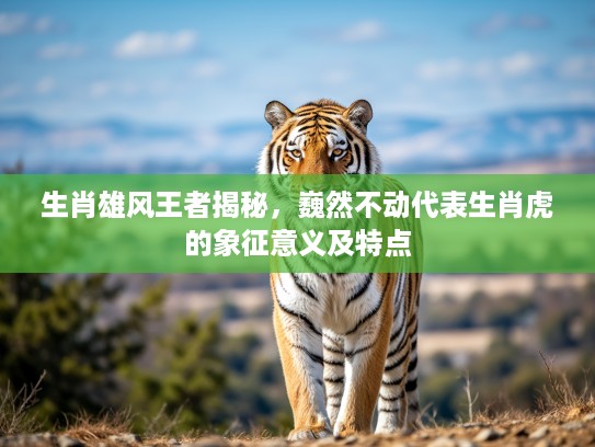 生肖雄风王者揭秘,巍然不动代表生肖虎的象征意义及特点 生肖雄风王者揭秘,巍然不动代表生肖虎的象征意义及特点