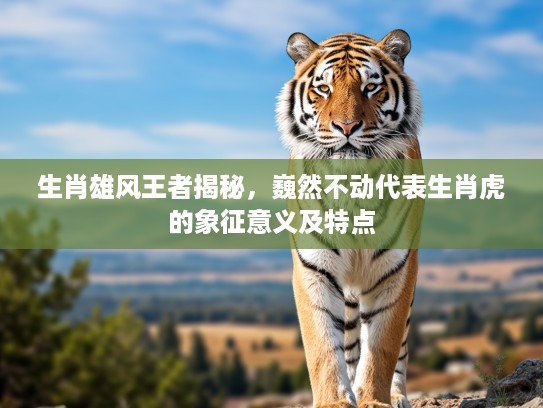 生肖雄风王者揭秘,巍然不动代表生肖虎的象征意义及特点 生肖雄风王者揭秘,巍然不动代表生肖虎的象征意义及特点