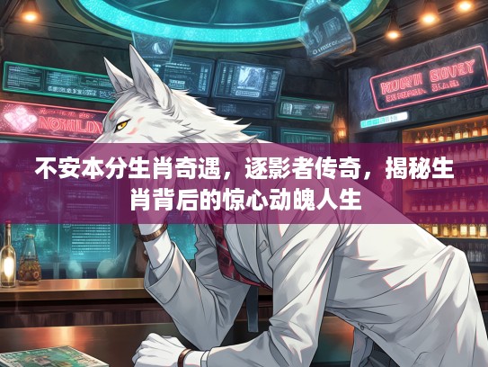 不安本分生肖奇遇,逐影者传奇,揭秘生肖背后的惊心动魄人生 不安本分生肖奇遇,逐影者传奇,揭秘生肖背后的惊心动魄人生