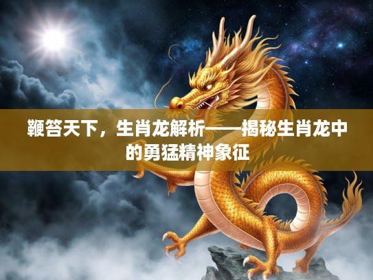 鞭笞天下,生肖龙解析——揭秘生肖龙中的勇猛精神象征 鞭笞天下,生肖龙解析——揭秘生肖龙中的勇猛精神象征