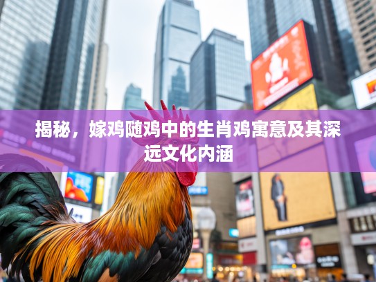 揭秘,嫁鸡随鸡中的生肖鸡寓意及其深远文化内涵 揭秘,嫁鸡随鸡中的生肖鸡寓意及其深远文化内涵