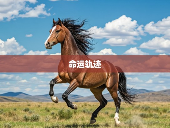 脱缰之马生肖传奇,揭秘自由奔放的属马人个性特点与命运轨迹 脱缰之马生肖传奇,揭秘自由奔放的属马人个性特点与命运轨迹