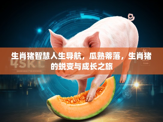 生肖猪智慧人生导航,瓜熟蒂落,生肖猪的蜕变与成长之旅 生肖猪智慧人生导航,瓜熟蒂落,生肖猪的蜕变与成长之旅