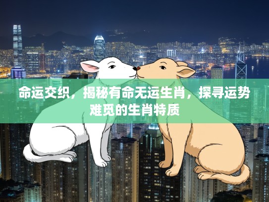 命运交织，揭秘有命无运生肖，探寻运势难觅的生肖特质