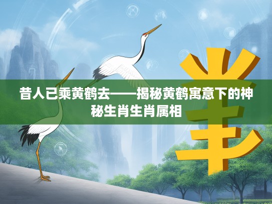 昔人已乘黄鹤去——揭秘黄鹤寓意下的神秘生肖生肖属相