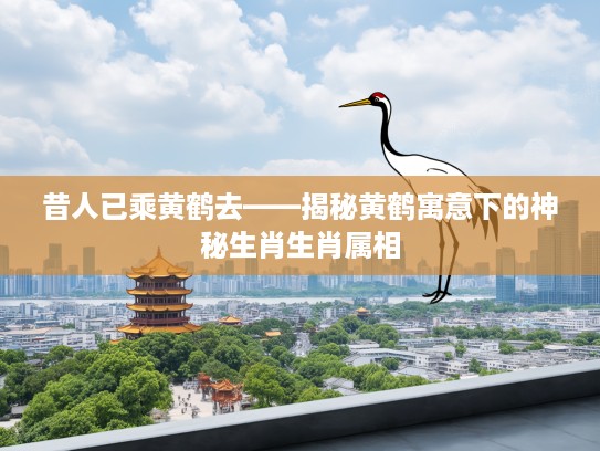 昔人已乘黄鹤去——揭秘黄鹤寓意下的神秘生肖生肖属相