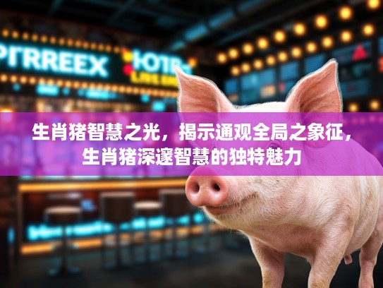 生肖猪智慧之光,揭示通观全局之象征,生肖猪深邃智慧的独特魅力 生肖猪智慧之光,揭示通观全局之象征,生肖猪深邃智慧的独特魅力