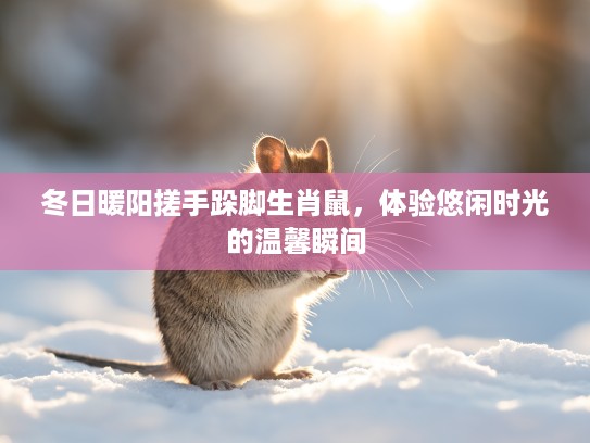 冬日暖阳搓手跺脚生肖鼠,体验悠闲时光的温馨瞬间 冬日暖阳搓手跺脚生肖鼠,体验悠闲时光的温馨瞬间
