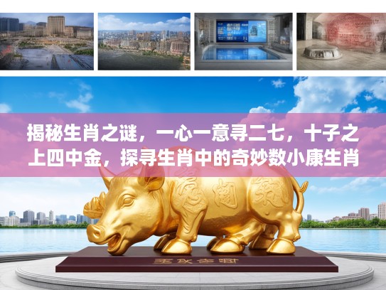 揭秘生肖之谜，一心一意寻二七，十子之上四中金，探寻生肖中的奇妙数小康生肖之谜
