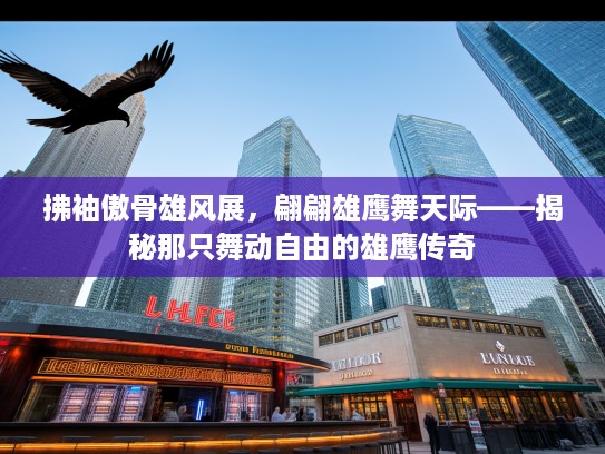 拂袖傲骨雄风展,翩翩雄鹰舞天际——揭秘那只舞动自由的雄鹰传奇 拂袖傲骨雄风展,翩翩雄鹰舞天际——揭秘那只舞动自由的雄鹰传奇