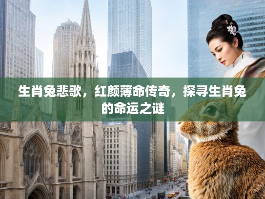 生肖兔悲歌,红颜薄命传奇,探寻生肖兔的命运之谜 生肖兔悲歌,红颜薄命传奇,探寻生肖兔的命运之谜