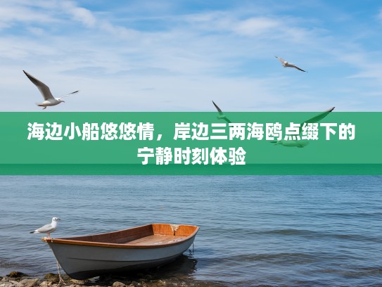 海边小船悠悠情，岸边三两海鸥点缀下的宁静时刻体验