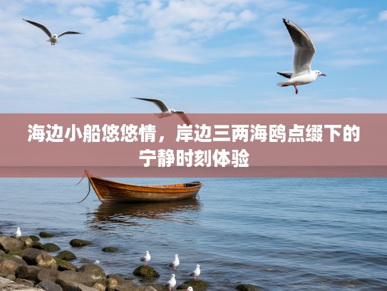海边小船悠悠情，岸边三两海鸥点缀下的宁静时刻体验
