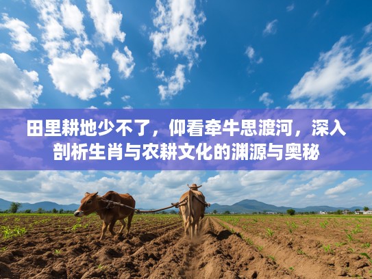 田里耕地少不了,仰看牵牛思渡河,深入剖析生肖与农耕文化的渊源与奥秘 田里耕地少不了,仰看牵牛思渡河,深入剖析生肖与农耕文化的渊源与奥秘