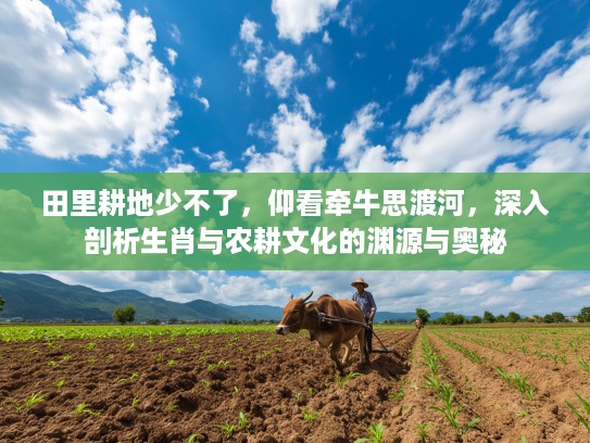 田里耕地少不了,仰看牵牛思渡河,深入剖析生肖与农耕文化的渊源与奥秘 田里耕地少不了,仰看牵牛思渡河,深入剖析生肖与农耕文化的渊源与奥秘