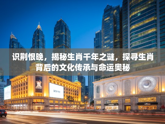 识荆恨晚，揭秘生肖千年之谜，探寻生肖背后的文化传承与命运奥秘