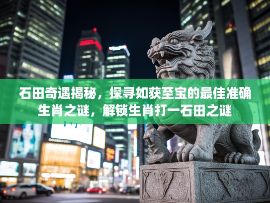 石田奇遇揭秘，探寻如获至宝的最佳准确生肖之谜，解锁生肖打一石田之谜