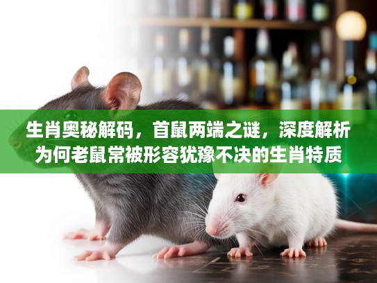 生肖奥秘解码，首鼠两端之谜，深度解析为何老鼠常被形容犹豫不决的生肖特质