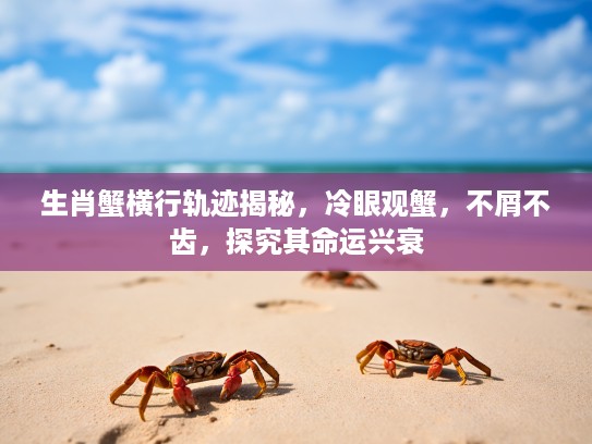 生肖蟹横行轨迹揭秘，冷眼观蟹，不屑不齿，探究其命运兴衰
