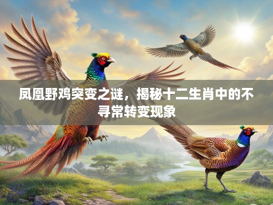 凤凰野鸡突变之谜，揭秘十二生肖中的不寻常转变现象