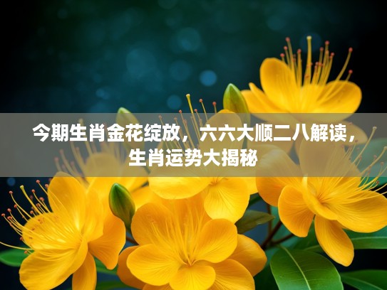 今期生肖金花绽放，六六大顺二八解读，生肖运势大揭秘