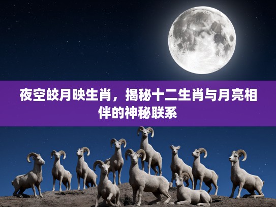 夜空皎月映生肖，揭秘十二生肖与月亮相伴的神秘联系