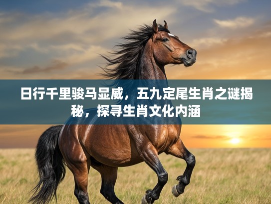 日行千里骏马显威，五九定尾生肖之谜揭秘，探寻生肖文化内涵