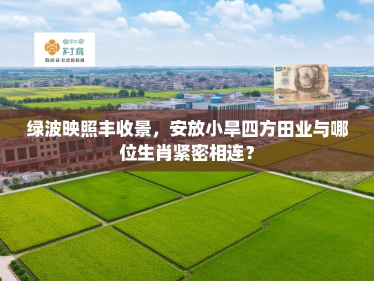 绿波映照丰收景，安放小旱四方田业与哪位生肖紧密相连？