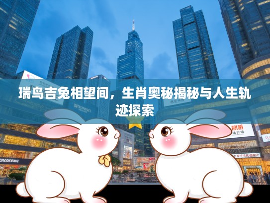 瑞鸟吉兔相望间，生肖奥秘揭秘与人生轨迹探索