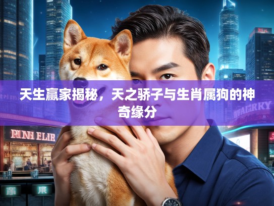 天生赢家揭秘，天之骄子与生肖属狗的神奇缘分