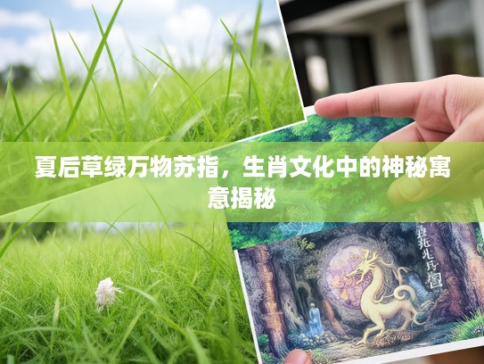 夏后草绿万物苏指，生肖文化中的神秘寓意揭秘