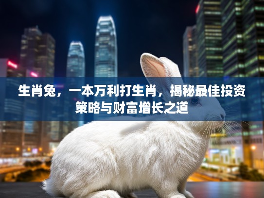 生肖兔，一本万利打生肖，揭秘最佳投资策略与财富增长之道