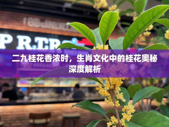 二九桂花香浓时，生肖文化中的桂花奥秘深度解析