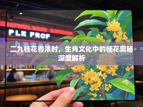 二九桂花香浓时，生肖文化中的桂花奥秘深度解析