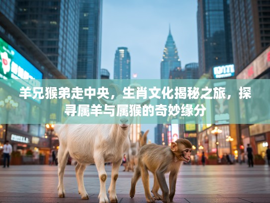 羊兄猴弟走中央，生肖文化揭秘之旅，探寻属羊与属猴的奇妙缘分