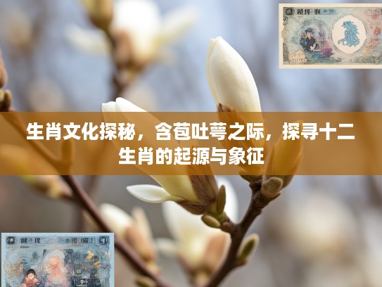生肖文化探秘，含苞吐萼之际，探寻十二生肖的起源与象征