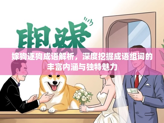 嫁狗逐狗成语解析，深度挖掘成语组词的丰富内涵与独特魅力