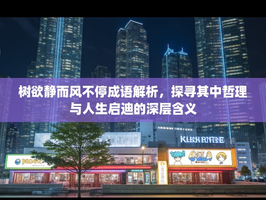 树欲静而风不停成语解析，探寻其中哲理与人生启迪的深层含义
