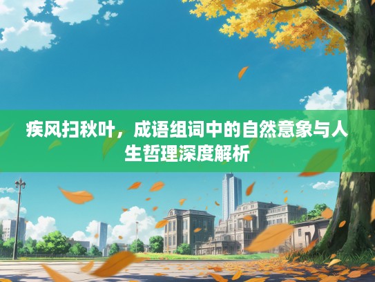 疾风扫秋叶，成语组词中的自然意象与人生哲理深度解析